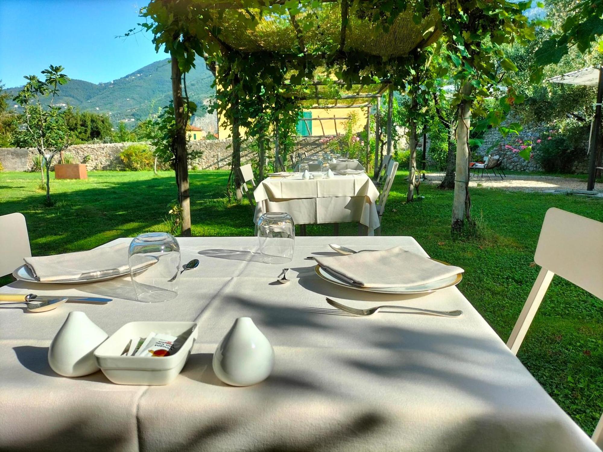 Badia Giulia Prestigious Historical B&B, Camaiore Adults Only - Pets Free Eksteriør billede